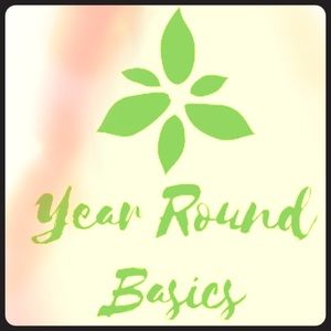 Winter spring summer or fall